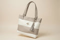 Elegant Two-Tone Bag